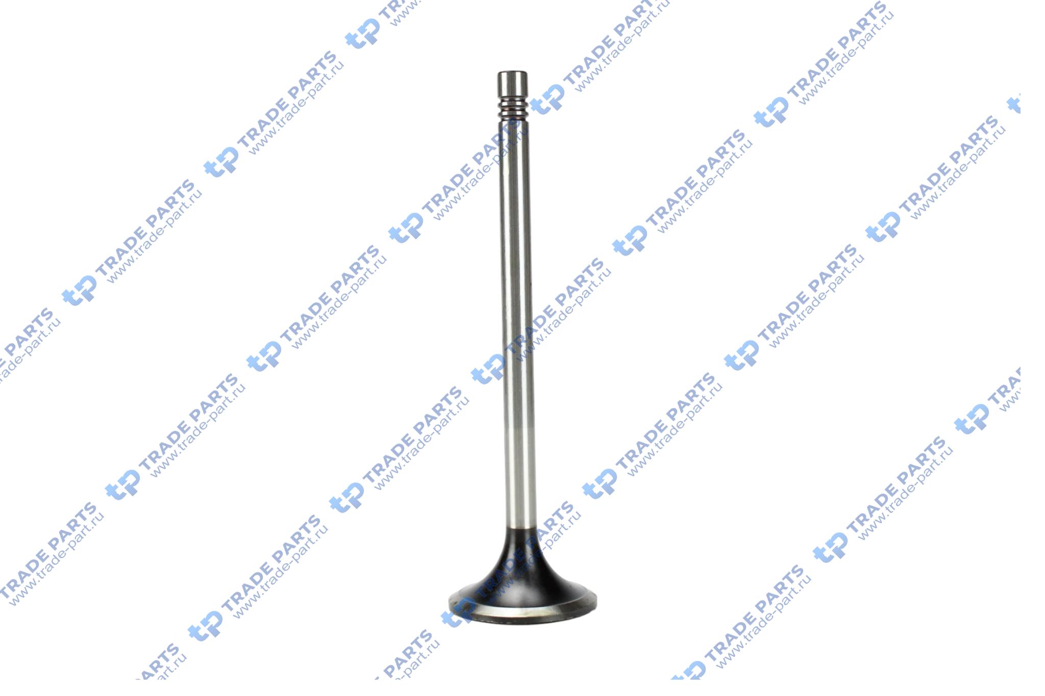 Реальная фотография выпускной клапан