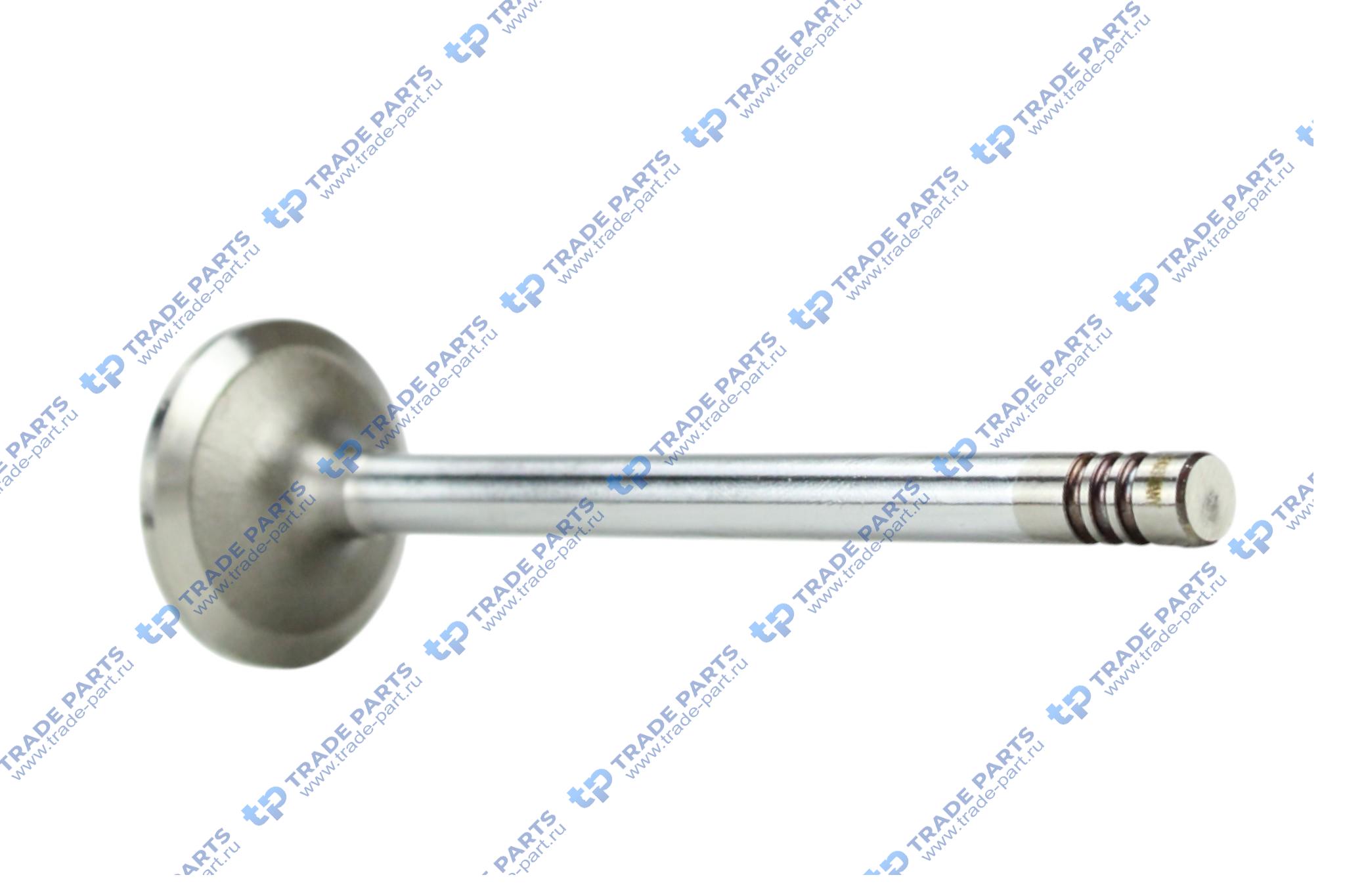 Реальная фотография впускной клапан