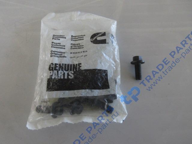 Реальная фотография болт крепления шкива вентиялтора m8*1.25*20 качество о