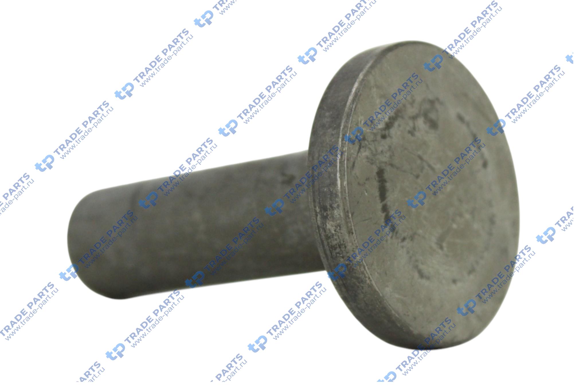 Реальная фотография толкатель клапана isce