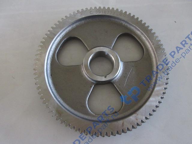 Реальная фотография шестреня распредвала