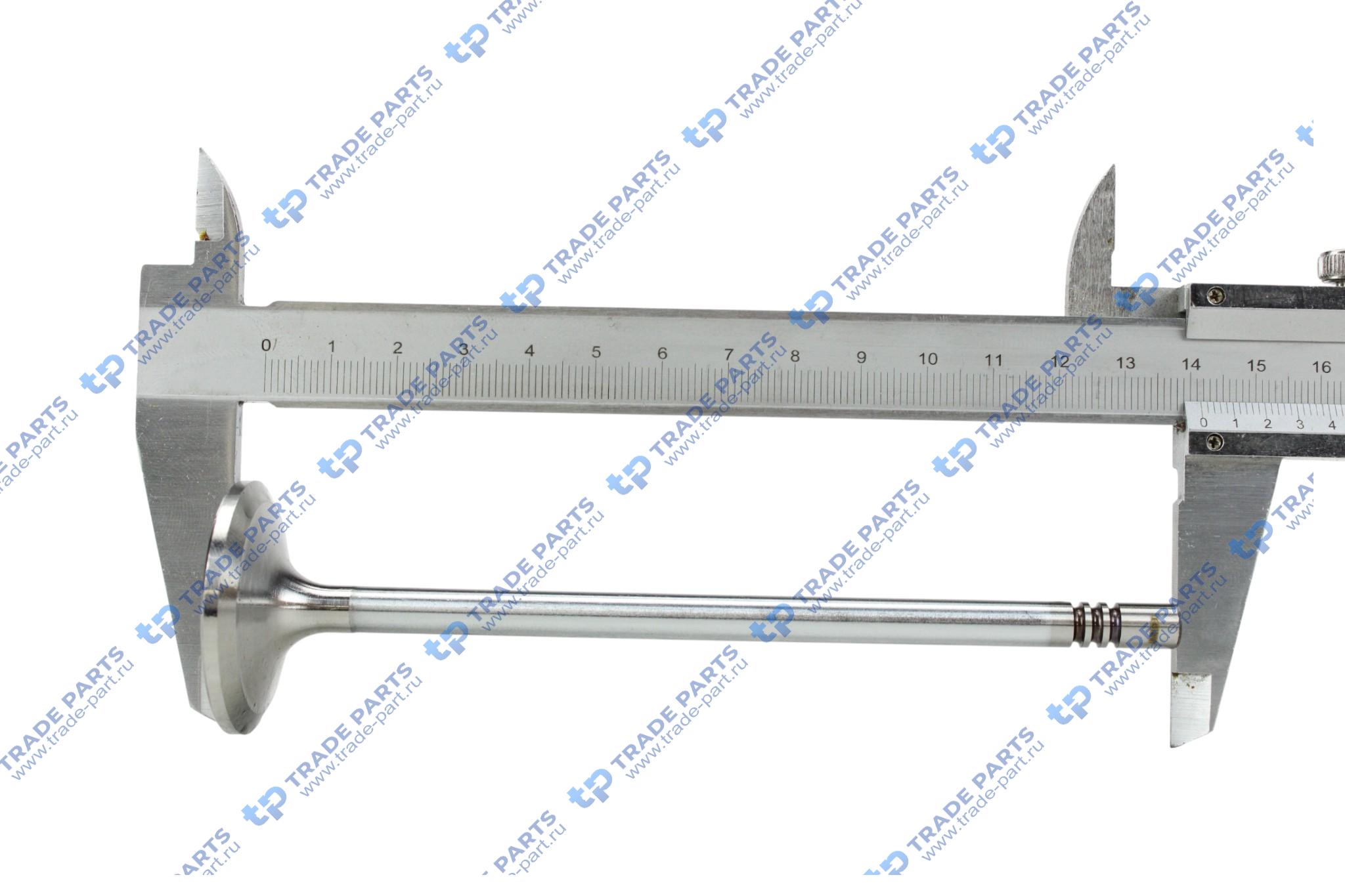 Реальная фотография клапан впускной 38x7x141.5 man tgl/tgm дв.d0836 lf41/44/lfl44/50-55/loh40-41/luh40/