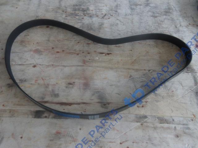 Реальная фотография ремень генератора 8pk1602