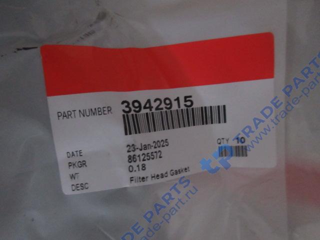 Реальная фотография прокладка головки масляного фильтра (прокладка теплообменника передняя)