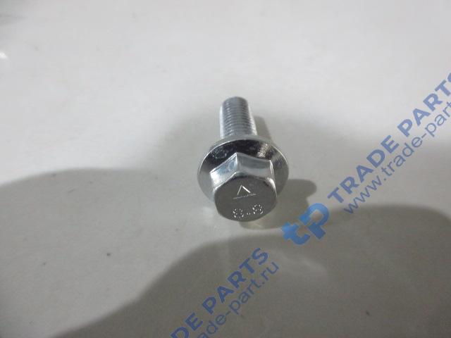 Реальная фотография болт м10*30 тнвд faw качество о