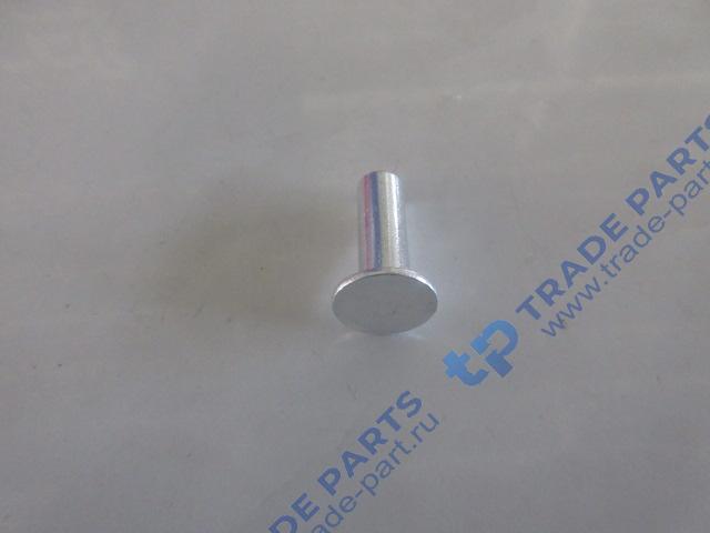Реальная фотография заклепка d=8 l=22