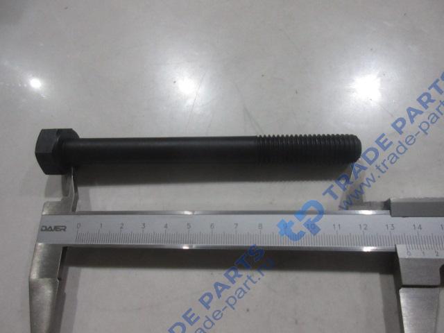 Реальная фотография болт коренной шейки 13037380/12164651/13037380/4110000054157