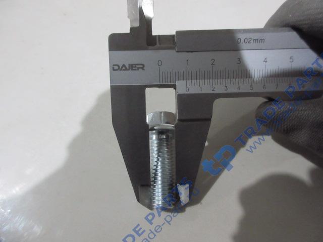 Реальная фотография болт м10*30 тнвд faw качество о