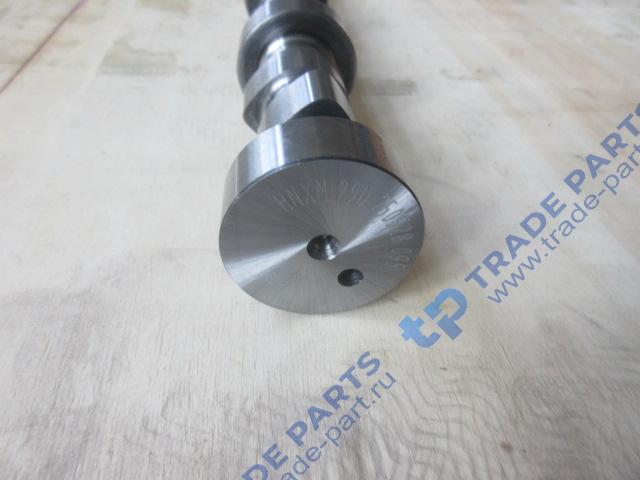 Реальная фотография распредвал l6000000-pjtl/1006016-36d