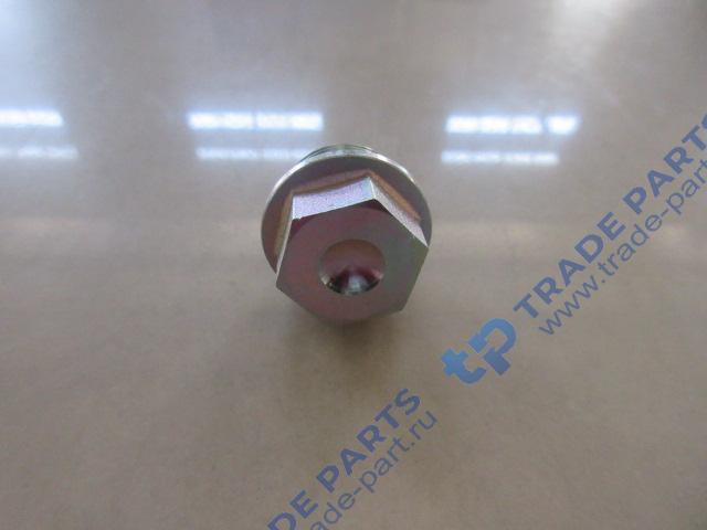 Реальная фотография заглушка резьбовая m24x1,5x12-st-pm-sw22 качество о