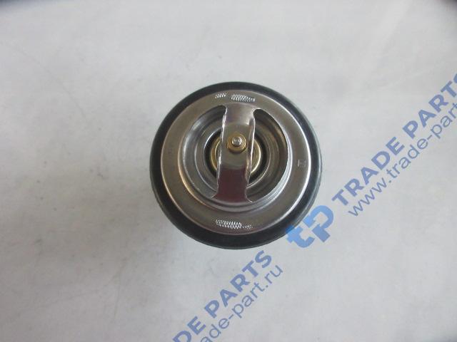 Реальная фотография термостат 76°c