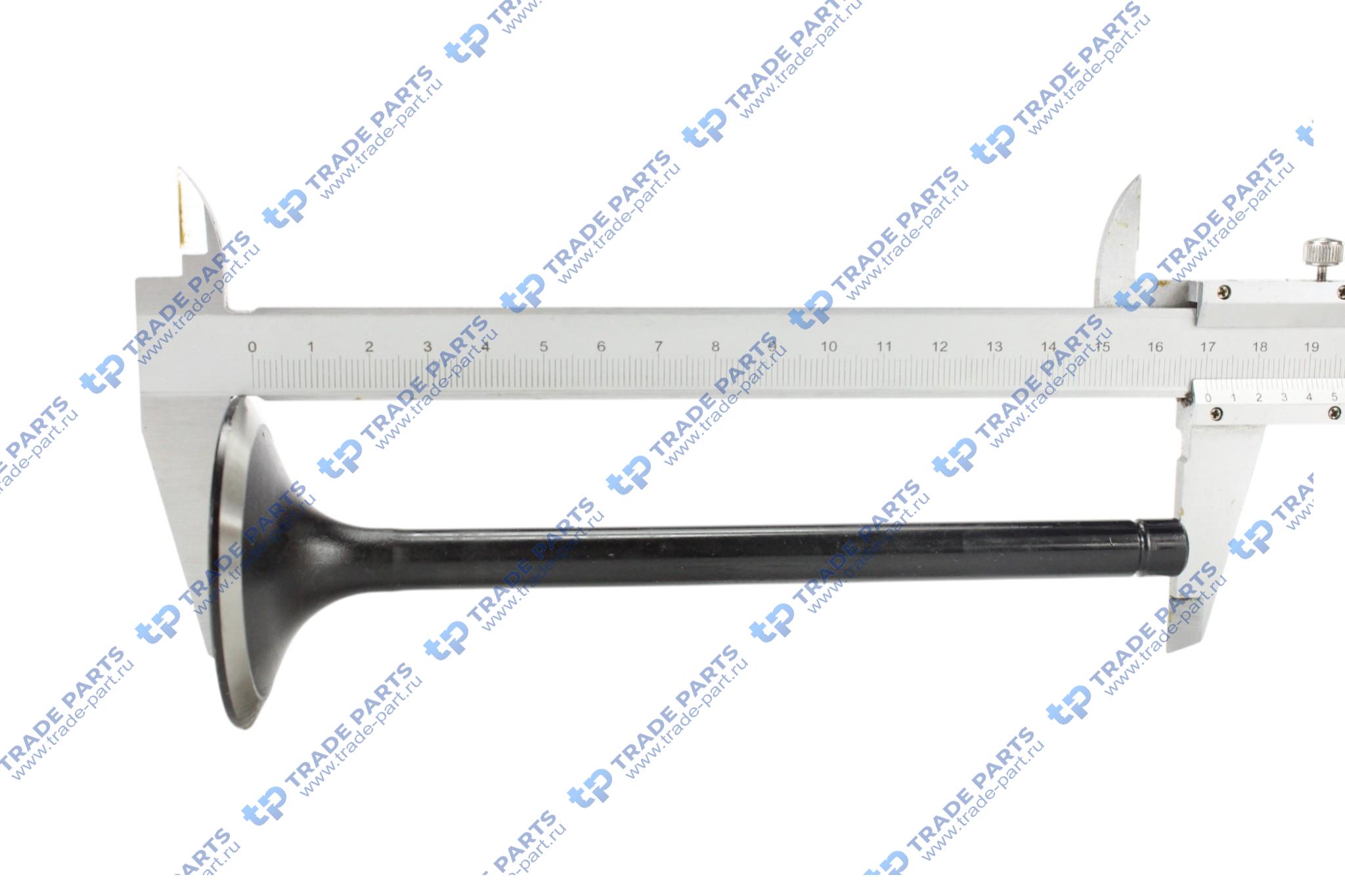 Реальная фотография клапан впускной iveco 8210