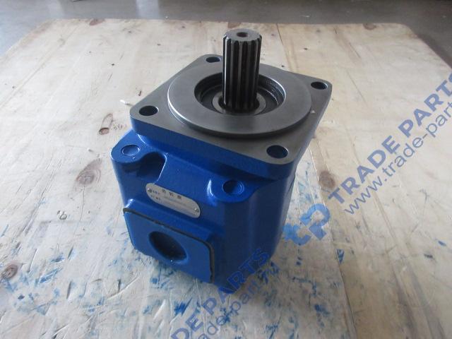 Реальная фотография насос гидравлический 803004106/p7200-f160h/cbgi hp3160 xcmg lw500kn