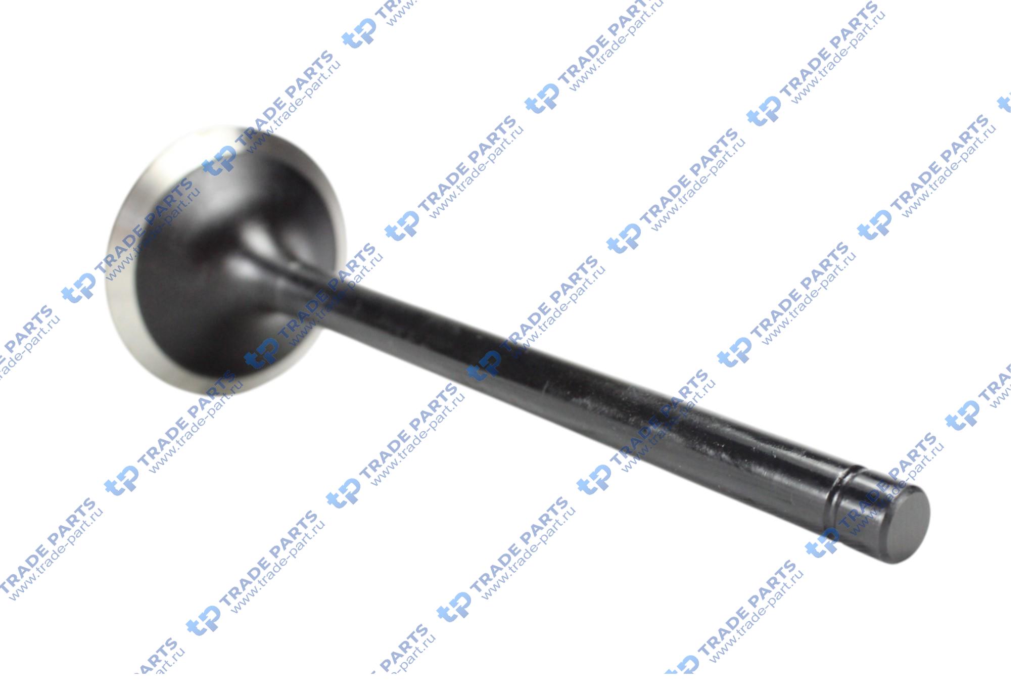 Реальная фотография клапан впускной iveco 8210