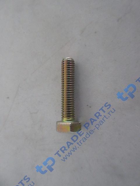 Болт клапанной крышки 01139584/4110000054144/4110000054171