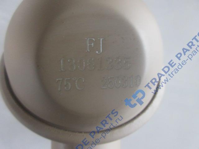 Реальная фотография термостат в сборе