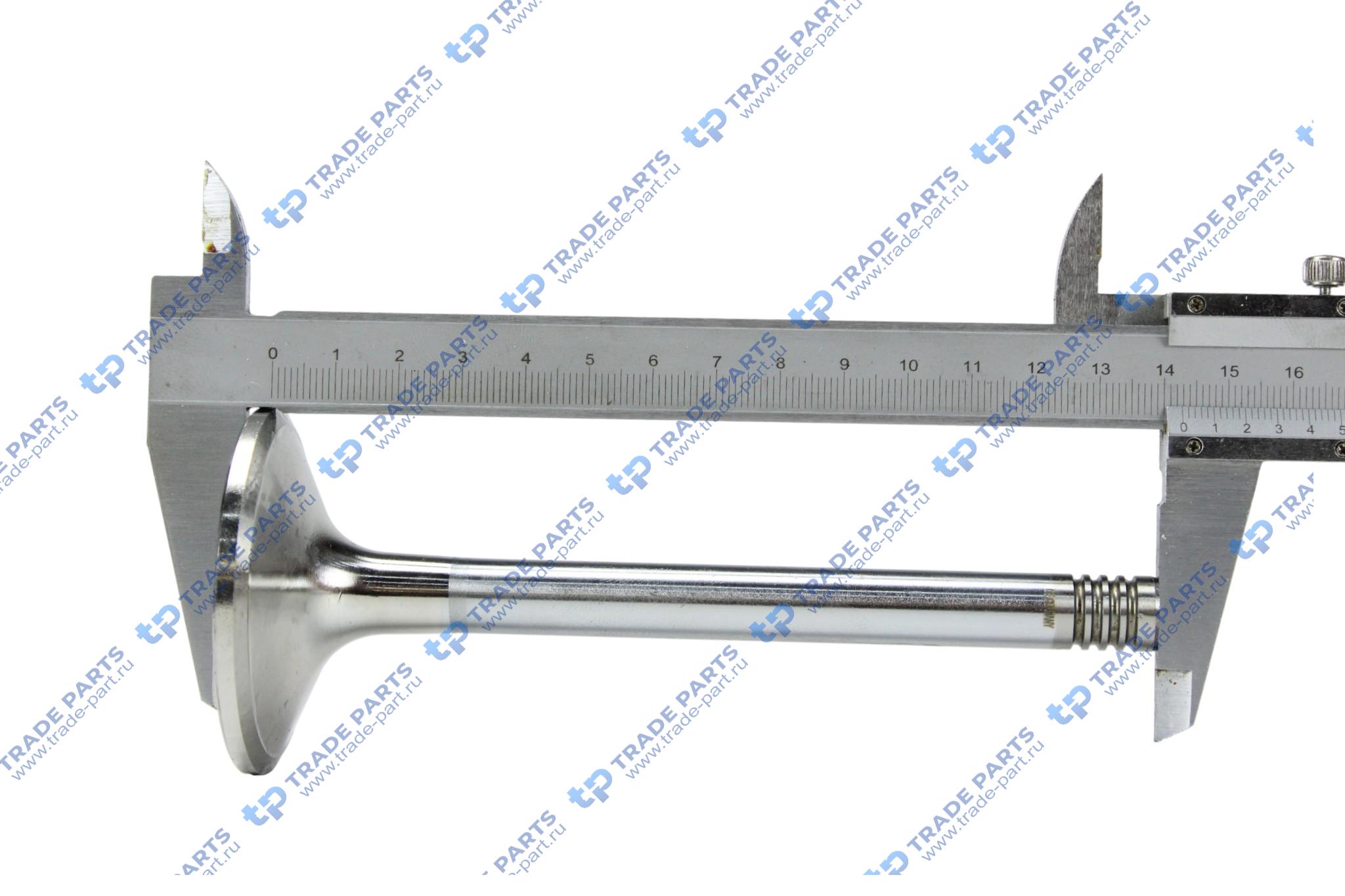 Реальная фотография клапан впускной man