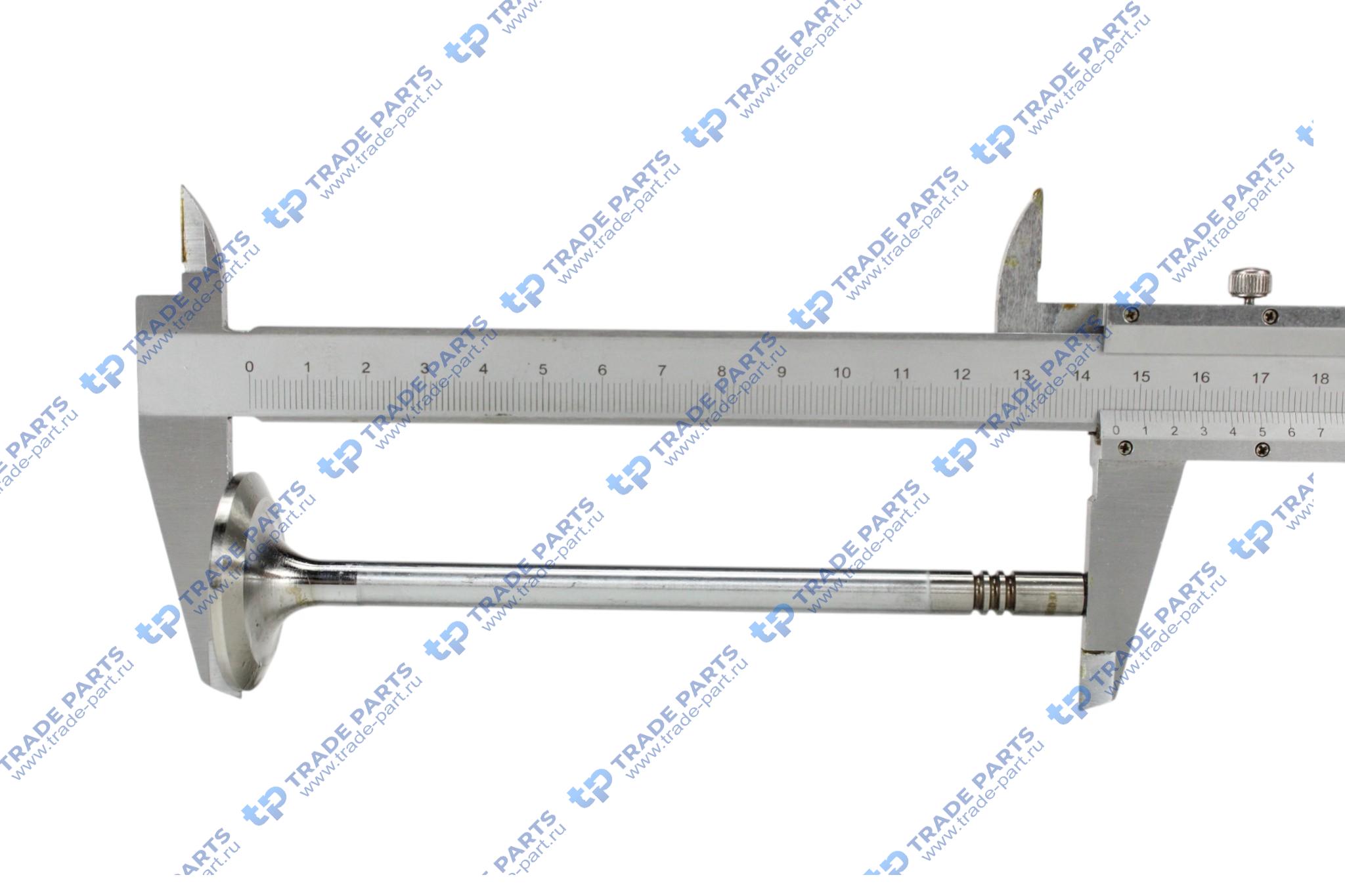 Реальная фотография клапан впускной deutz tcd2013 8x38.2x145.9 30°