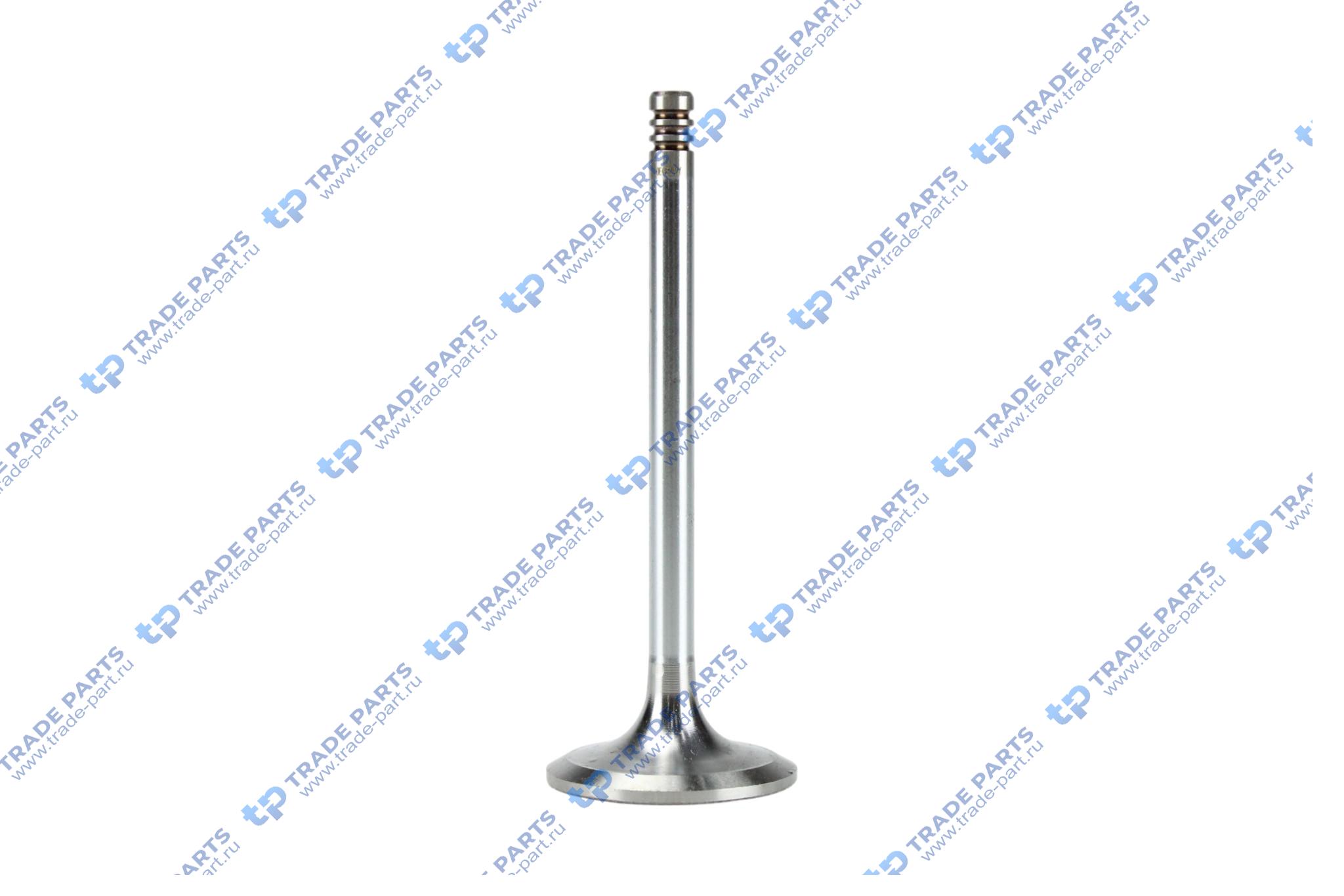 Клапан впускной Deutz TCD 2012 L4/L6 2V 8x44.5x121.2