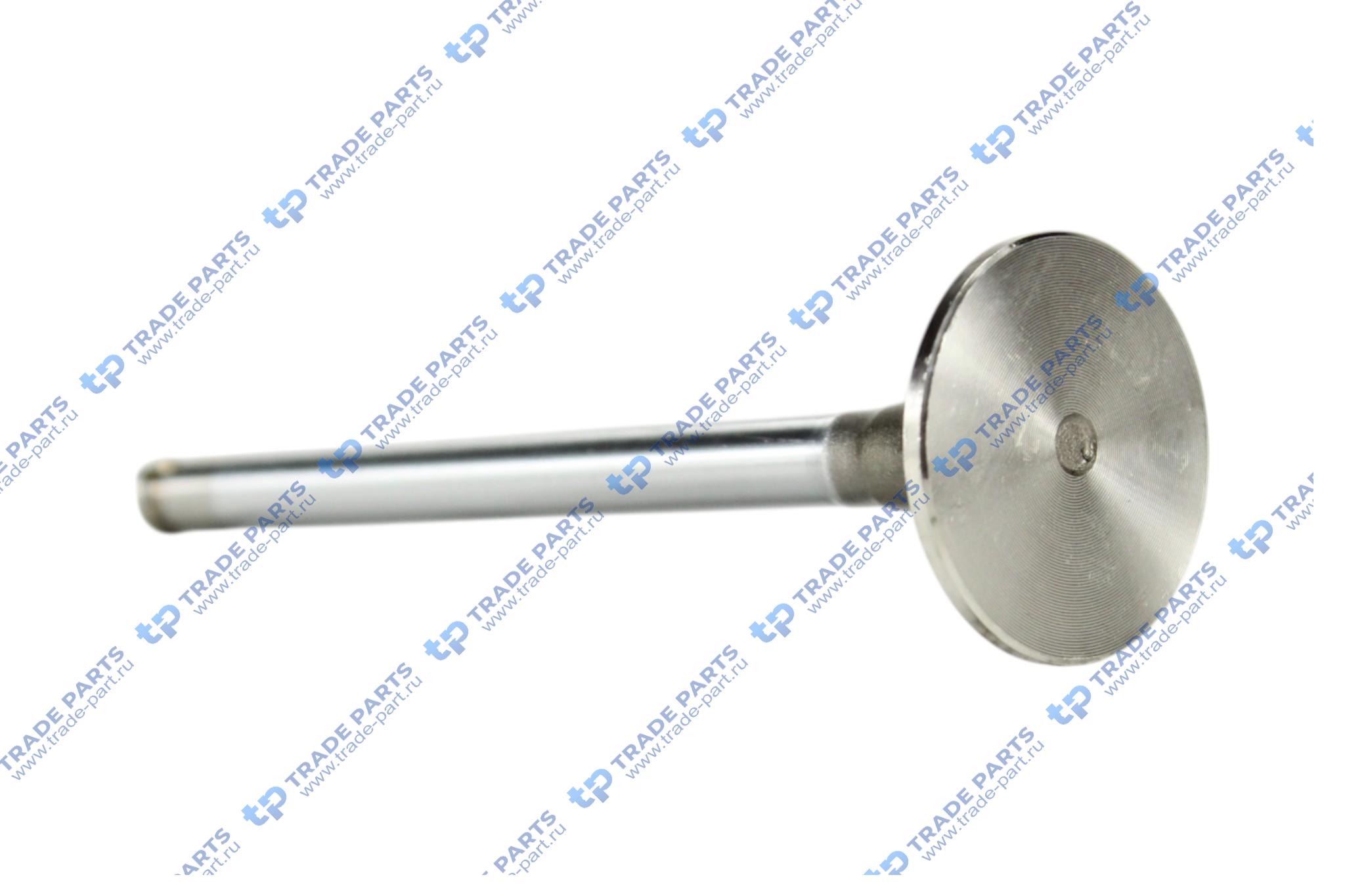 Реальная фотография клапан выпускной iveco daily (fiat)