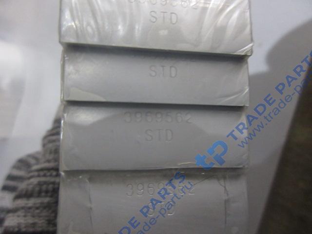 Реальная фотография вкладыши шатунные std (комплект)