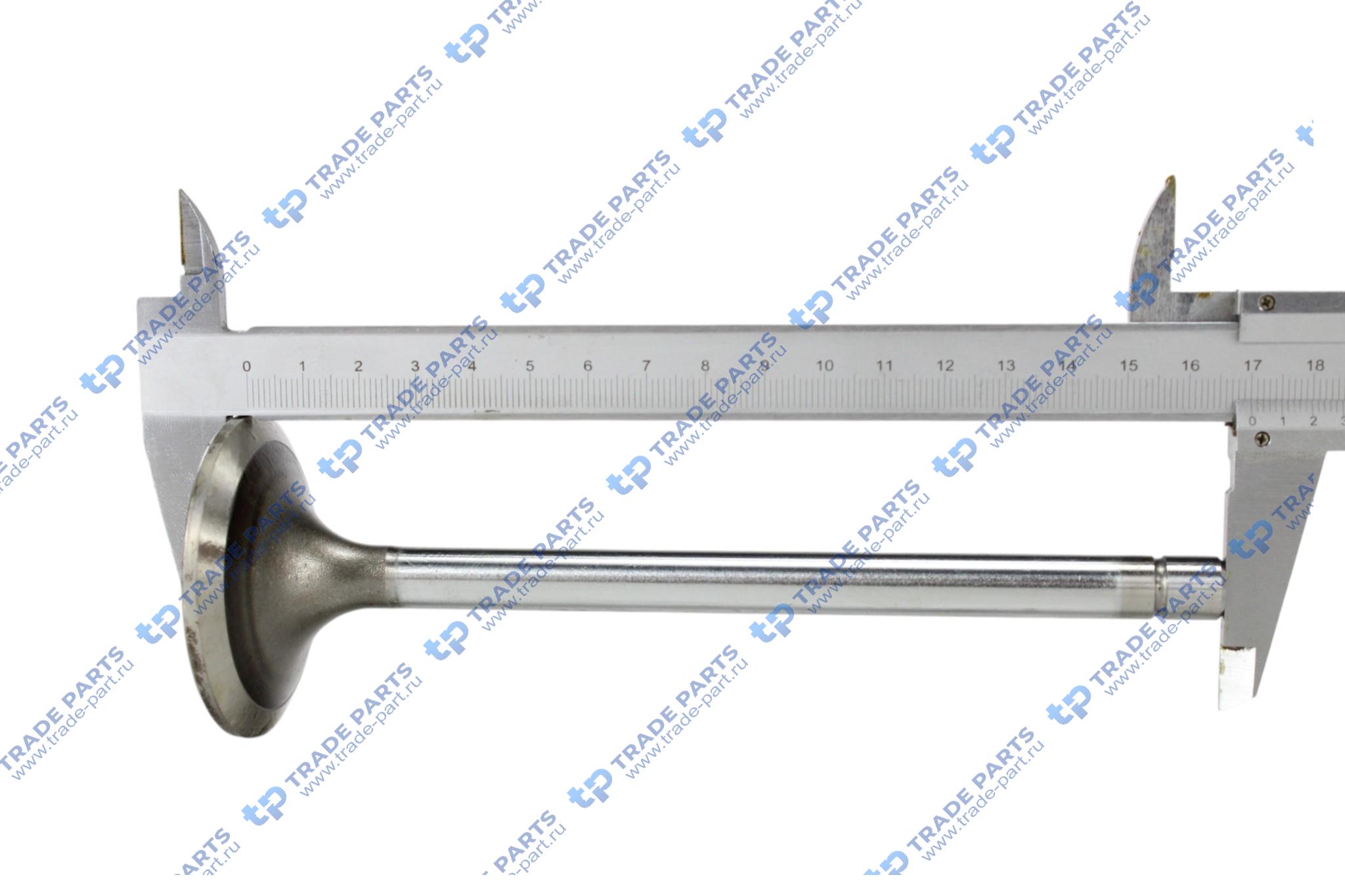 Реальная фотография впускной клапан iveco