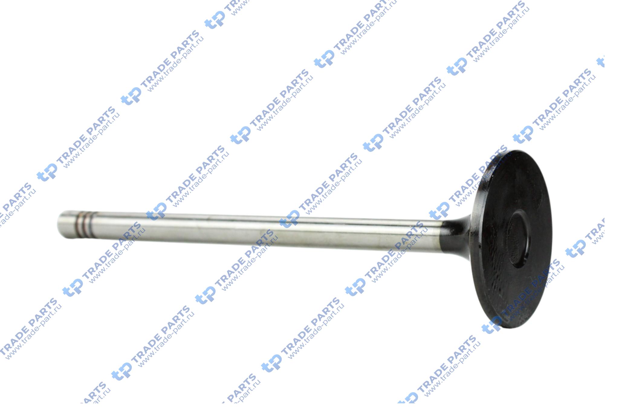 Реальная фотография впускной клапан