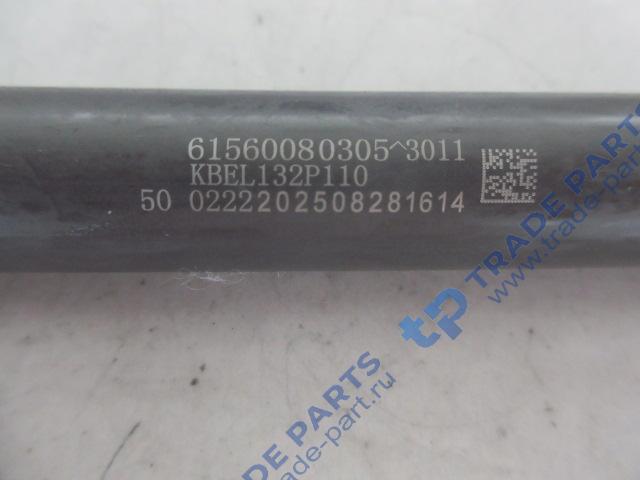 Реальная фотография форсунка евро2 kbel132p110 (распылитель 179)