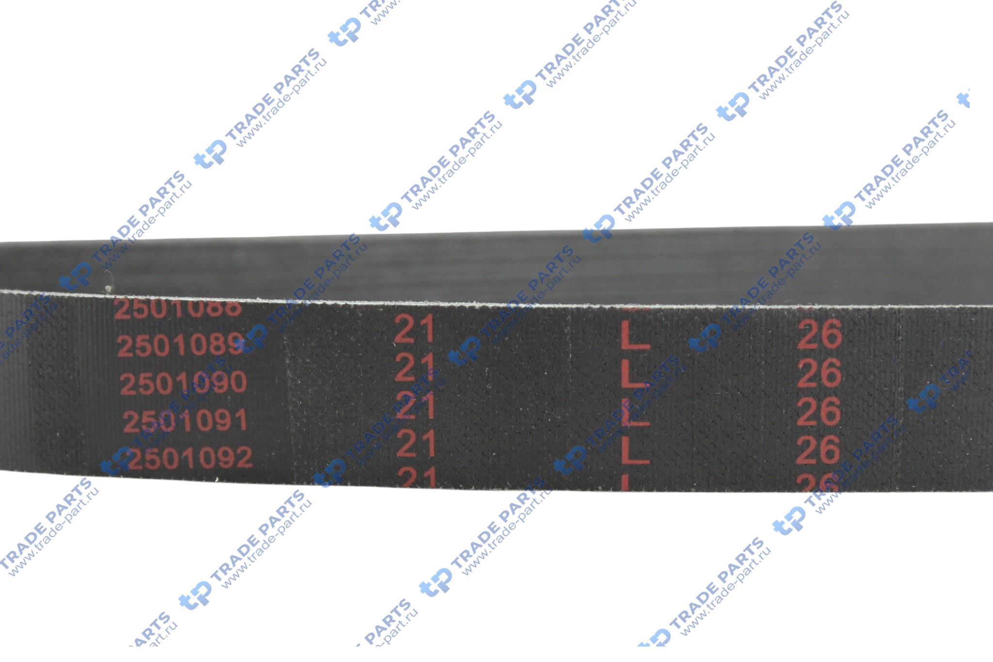 Реальная фотография ремень генератора 6pk 794 wd615 евро3 huatai