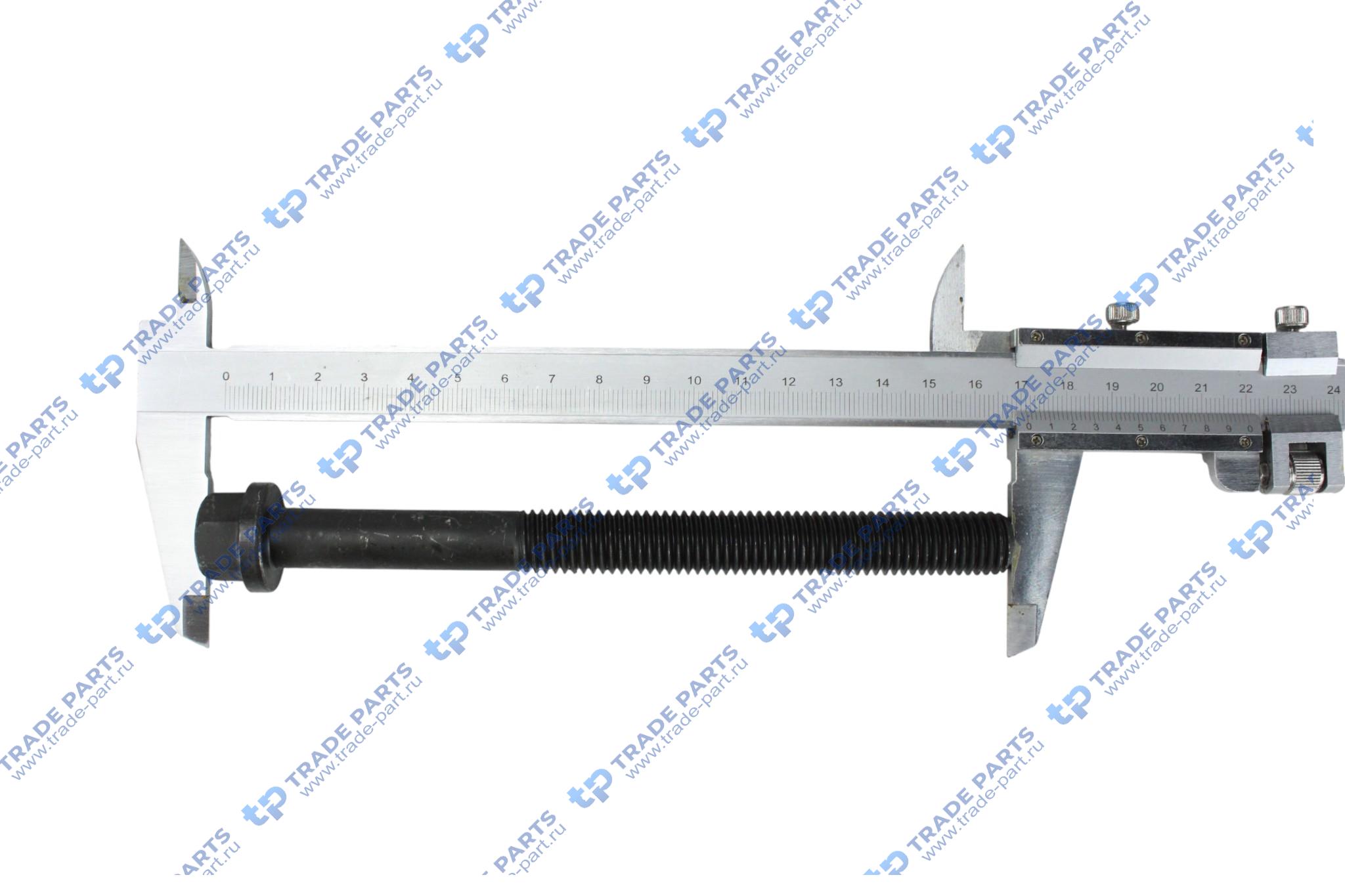 Реальная фотография болт гбц двигателя deutz td226b-6