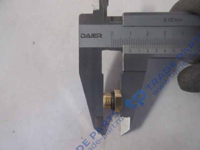 Реальная фотография заглушка м10х1 howo t5g, sitrak c7h