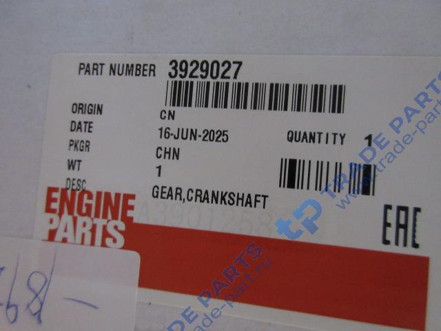 Реальная фотография шестерня коленвала