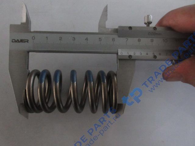 Реальная фотография пружина клапана