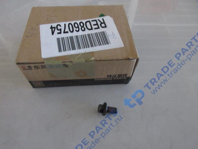 Реальная фотография болт крепления крышки картера шестерен распределительного вала m8*1.25*16 качество о