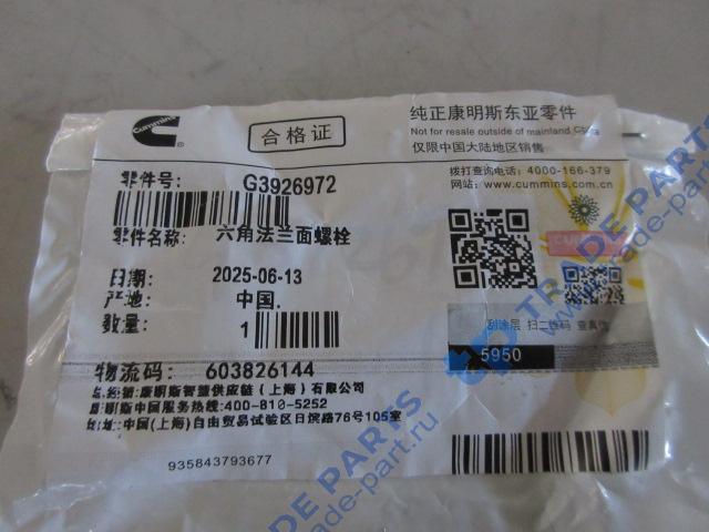 Реальная фотография болт крепления корпуса термостата m8*1.25 *70 качество о