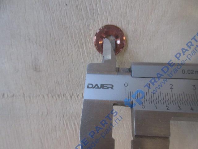 Реальная фотография шайба форсунки евро3 d=7 d=19 h=2